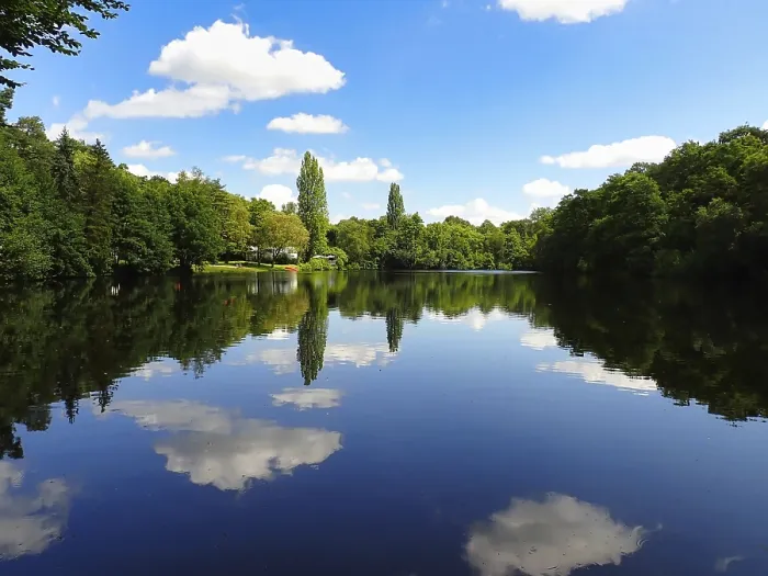 Gerahmter Druck : Blick auf einen Waldsee, Reflexion. Gerahmter Druck : Blick auf einen Waldsee, Reflexion.