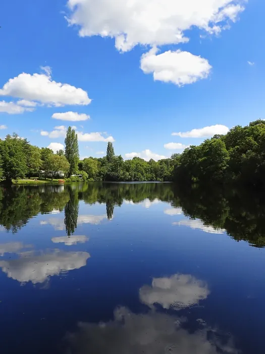 Gerahmter Druck : Blick auf einen Waldsee, Reflexion. Gerahmter Druck : Blick auf einen Waldsee, Reflexion.