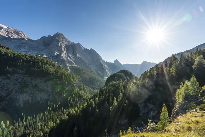 Gerahmter Druck : Ansicht des Waldes und der Berge. Gerahmter Druck : Ansicht des Waldes und der Berge.