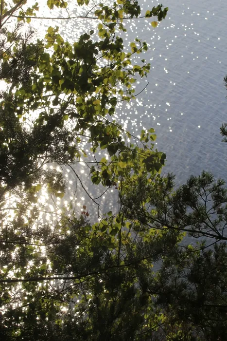 Gerahmter Druck : Blick vom Gnitz-Halbinsel, September. Gerahmter Druck : Blick vom Gnitz-Halbinsel, September.