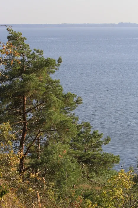 Gerahmter Druck : Blick von der Gnitz-Halbinsel, September. Gerahmter Druck : Blick von der Gnitz-Halbinsel, September.