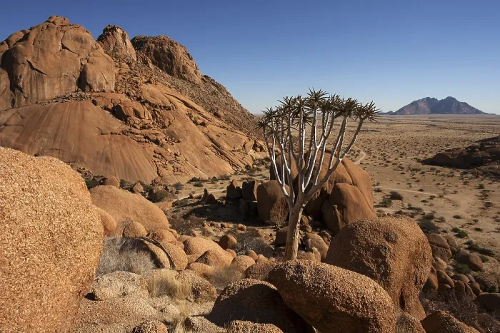 Gerahmter Druck : Blick vom Großen Spitzkoppe Gerahmter Druck : Blick vom Großen Spitzkoppe