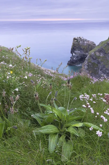 Gerahmter Druck : Ansicht von Hells Mouth, Cornwall