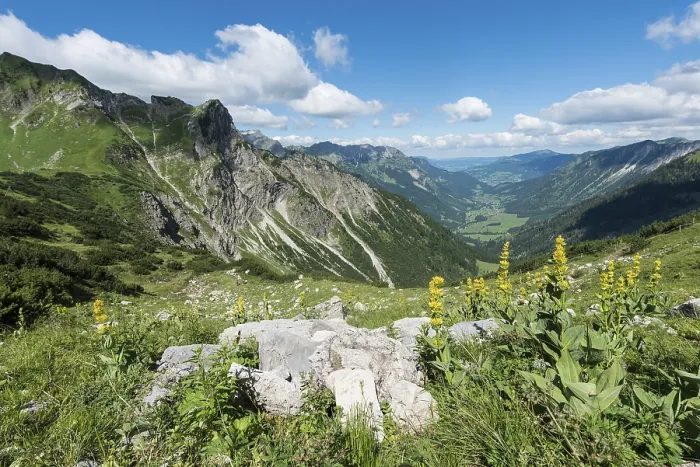 Gerahmter Druck : Blick auf Hinterstein, Allgäuer Alpen.