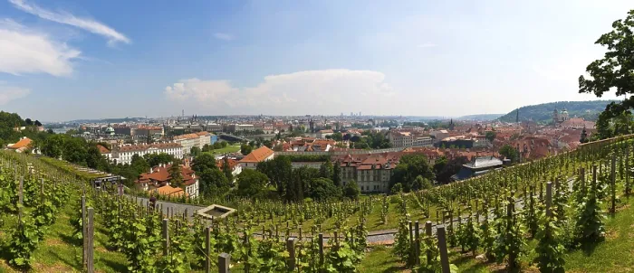 Gerahmter Druck : Blick vom Hradčany, Burgviertel. Gerahmter Druck : Blick vom Hradčany, Burgviertel.