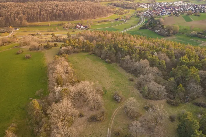 Gerahmter Druck : Blick auf ein idyllisches Landschaft mit Wald. Gerahmter Druck : Blick auf ein idyllisches Landschaft mit Wald.