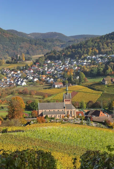 Gerahmter Druck : Ansicht von Kappelrodeck im Herbst. Gerahmter Druck : Ansicht von Kappelrodeck im Herbst.