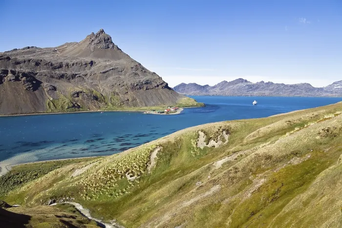 Gerahmter Druck : Blick auf King Edward Point Gerahmter Druck : Blick auf King Edward Point