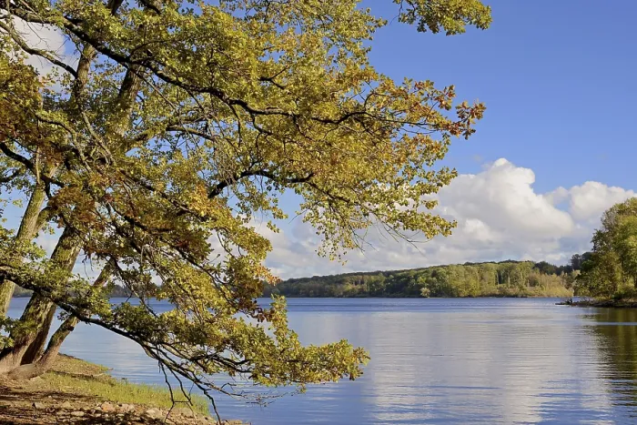 Gerahmter Druck : Blick auf den See Mohne, Reflexion. Gerahmter Druck : Blick auf den See Mohne, Reflexion.