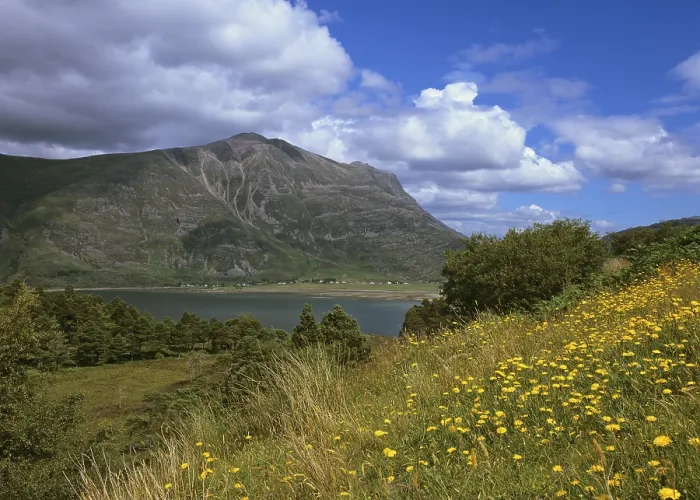Gerahmter Druck : Blick auf Loch Torridon, Shieldaig Gerahmter Druck : Blick auf Loch Torridon, Shieldaig