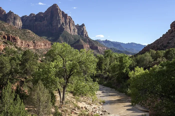 Gerahmter Druck : Blick in Richtung North Fork Virgin River Gerahmter Druck : Blick in Richtung North Fork Virgin River