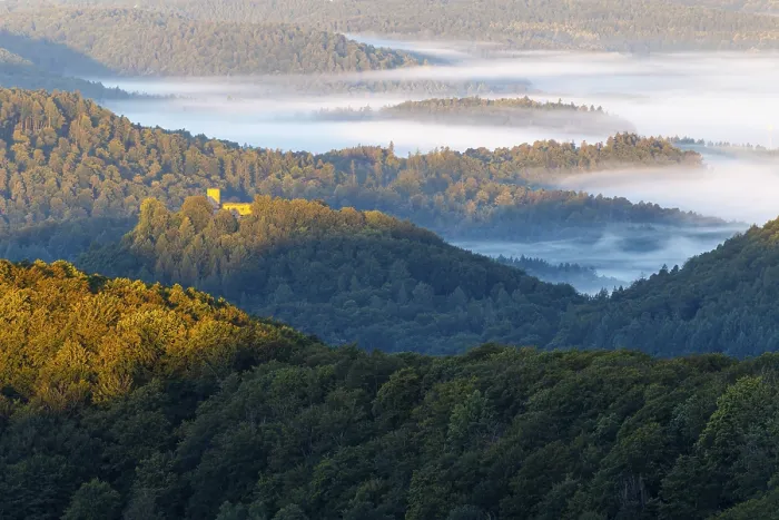Gerahmter Druck : Blick über den Pfälzerwald. Gerahmter Druck : Blick über den Pfälzerwald.