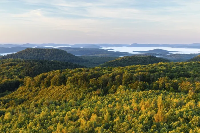 Gerahmter Druck : Blick über den Pfälzerwald. Gerahmter Druck : Blick über den Pfälzerwald.