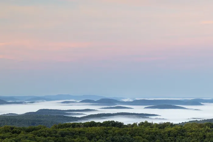 Gerahmter Druck : Blick über den Pfälzerwald. Gerahmter Druck : Blick über den Pfälzerwald.