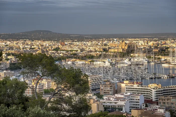 Gerahmter Druck : Blick über Palma de Mallorca in der Abenddämmerung. Gerahmter Druck : Blick über Palma de Mallorca in der Abenddämmerung.