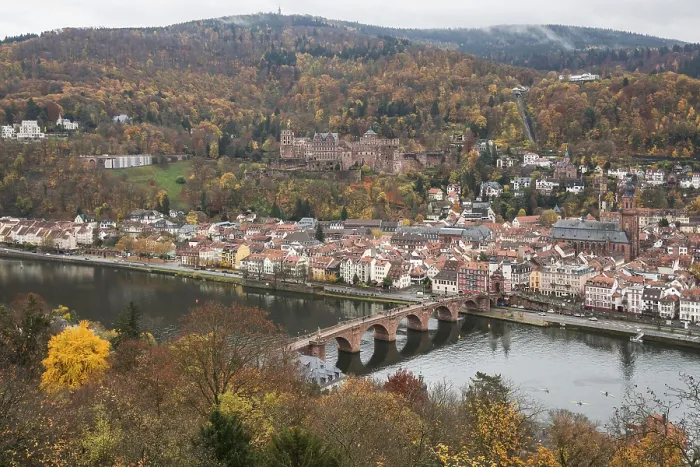Gerahmter Druck : Blick vom Philsophenweg zum Neckar. Gerahmter Druck : Blick vom Philsophenweg zum Neckar.