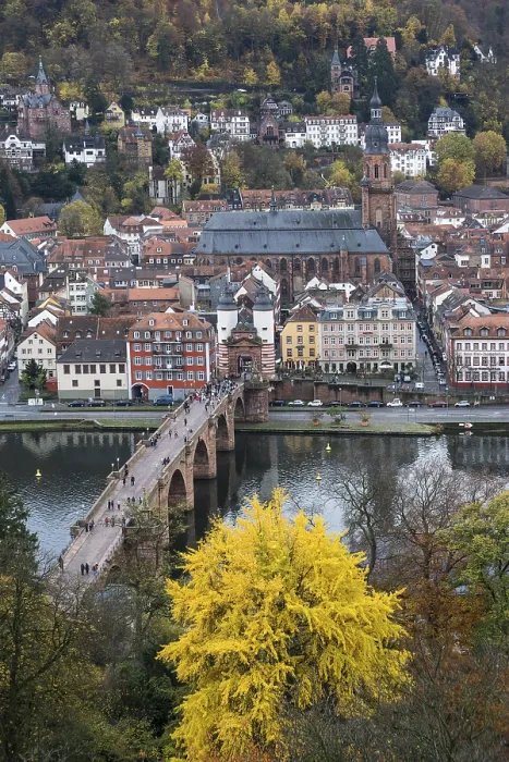 Gerahmter Druck : Blick vom Philsophenweg zum Neckar Gerahmter Druck : Blick vom Philsophenweg zum Neckar