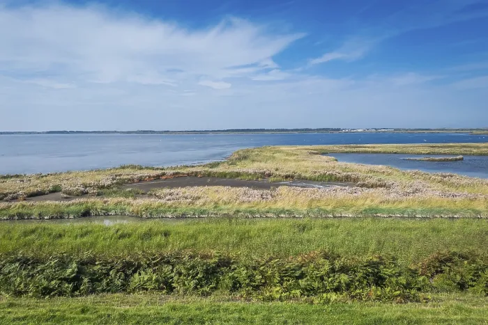 Gerahmter Druck : Blick auf die Rantumer Koog, Rantumer Koog Gerahmter Druck : Blick auf die Rantumer Koog, Rantumer Koog