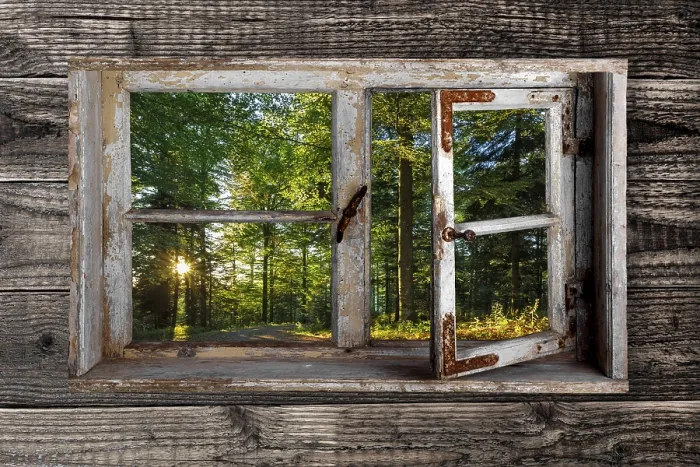 Gerahmter Druck : Blick durch ein rustikales Holzfenster in den Wald. Gerahmter Druck : Blick durch ein rustikales Holzfenster in den Wald.