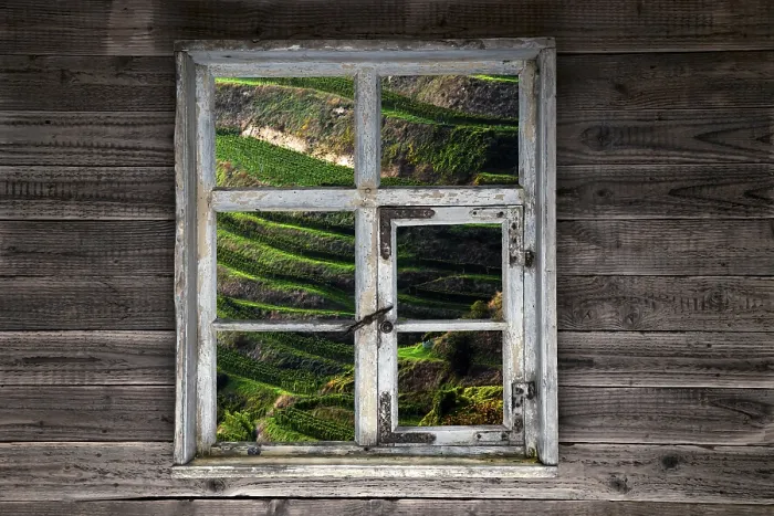 Gerahmter Druck : Blick durch ein rustikales Holzfenster in den Weinberg. Gerahmter Druck : Blick durch ein rustikales Holzfenster in den Weinberg.