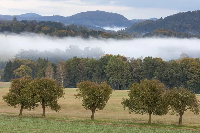 Gerahmter Druck : Blick auf die Schrammsteine. Gerahmter Druck : Blick auf die Schrammsteine.