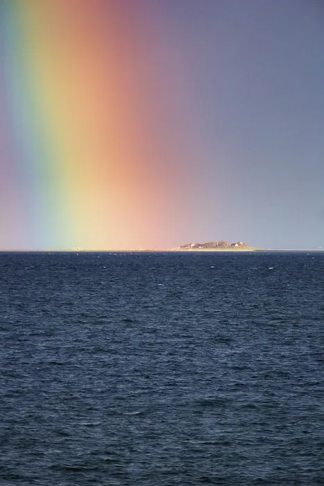 Gerahmter Druck : Abendlicher Meerblick mit Regenbogen über Hallig LangeneB, Wyk auf Fohr, Fohrinsel, Nordfriesland, Nordsee, Schleswig-Holstein Gerahmter Druck : Abendlicher Meerblick mit Regenbogen über Hallig LangeneB, Wyk auf Fohr, Fohrinsel, Nordfriesland, Nordsee, Schleswig-Holstein