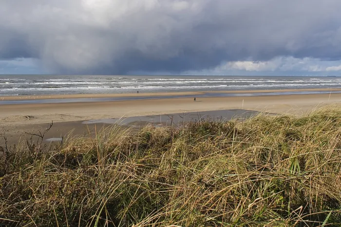 Gerahmter Druck : Blick über das Meer, sandiger Strand. Gerahmter Druck : Blick über das Meer, sandiger Strand.