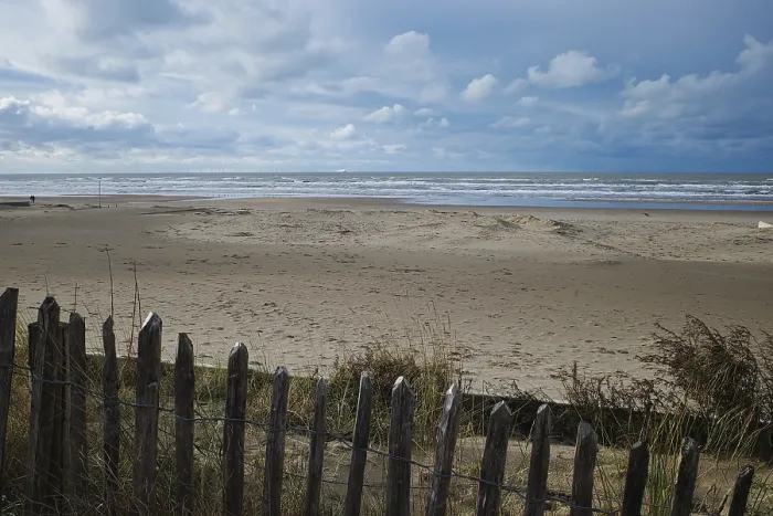 Gerahmter Druck : Blick über das Meer, sandiger Strand. Gerahmter Druck : Blick über das Meer, sandiger Strand.