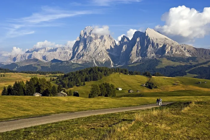 Gerahmter Druck : Blick über die Seiser Alm Almweide. Gerahmter Druck : Blick über die Seiser Alm Almweide.