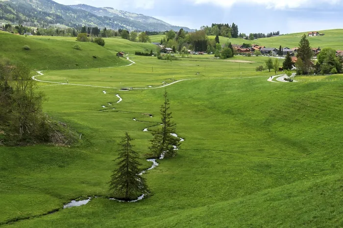 Gerahmter Druck : Blick auf kleinen Bach und Wiesen. Gerahmter Druck : Blick auf kleinen Bach und Wiesen.