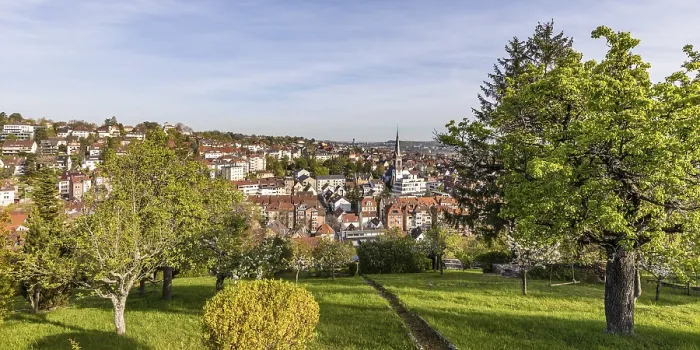 Gerahmter Druck : Blick auf den Stadtteil Stuttgart-Gablenberg. Gerahmter Druck : Blick auf den Stadtteil Stuttgart-Gablenberg.