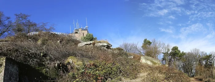 Gerahmter Druck : Blick auf den Gipfel des Kalmit. Gerahmter Druck : Blick auf den Gipfel des Kalmit.