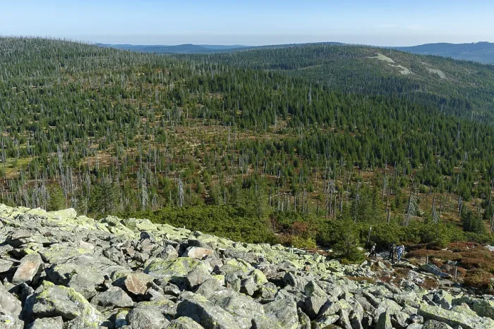 Gerahmter Druck : Blick vom Gipfel des Lusen. Gerahmter Druck : Blick vom Gipfel des Lusen.