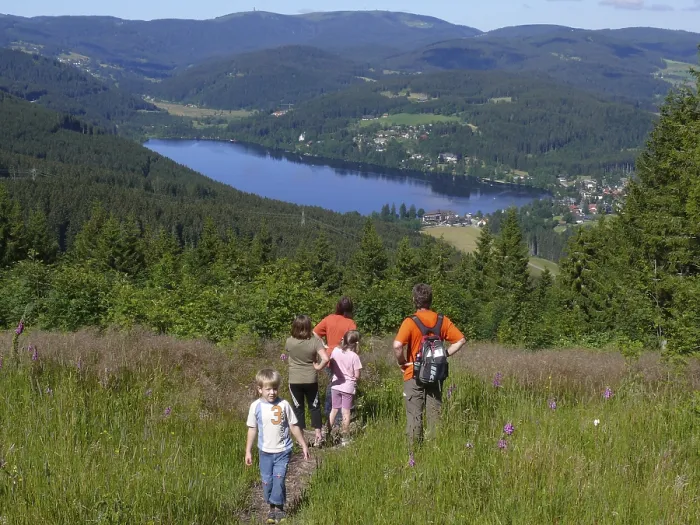 Gerahmter Druck : Ansicht von Titisee, Barental. Gerahmter Druck : Ansicht von Titisee, Barental.