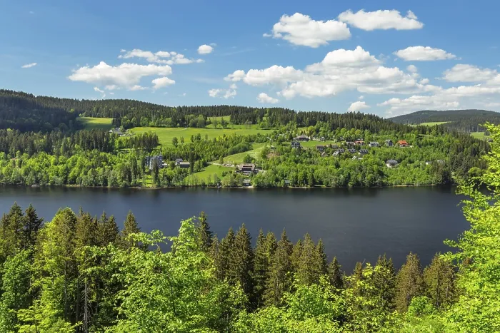 Gerahmter Druck : Blick über den Titisee, Schwarzwald. Gerahmter Druck : Blick über den Titisee, Schwarzwald.