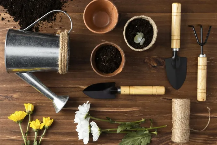 Gerahmter Druck : Oberansichts-Tools Gartenarbeit Gerahmter Druck : Oberansichts-Tools Gartenarbeit