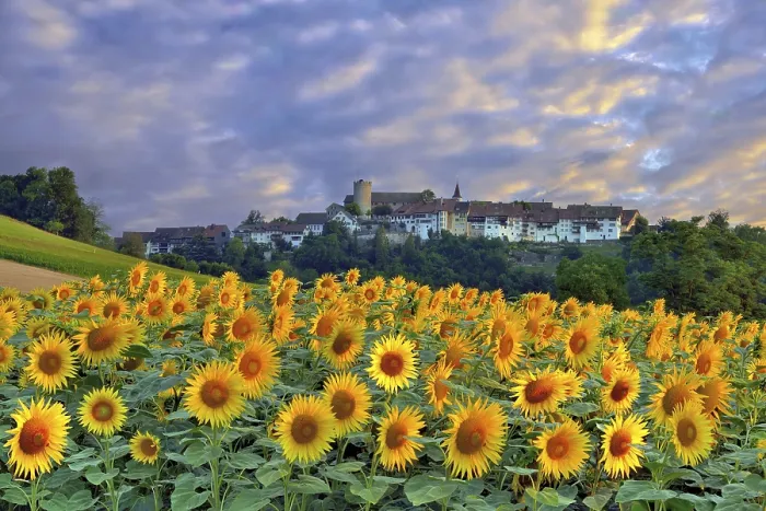 Gerahmter Druck : Blick auf das Dorf mit Wolken. Gerahmter Druck : Blick auf das Dorf mit Wolken.