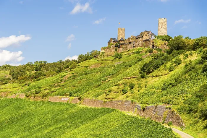 Gerahmter Druck : Blick über Weinberg und Burg Thurant. Gerahmter Druck : Blick über Weinberg und Burg Thurant.