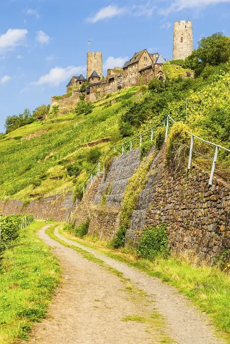 Gerahmter Druck : Blick über Weinberg und Schloss Thurant. Gerahmter Druck : Blick über Weinberg und Schloss Thurant.