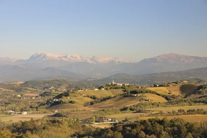 Gerahmter Druck : Blick über Weinberge nach Norden. Gerahmter Druck : Blick über Weinberge nach Norden.