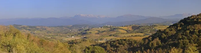 Gerahmter Druck : Blick über Weinberge nach Norden. Gerahmter Druck : Blick über Weinberge nach Norden.