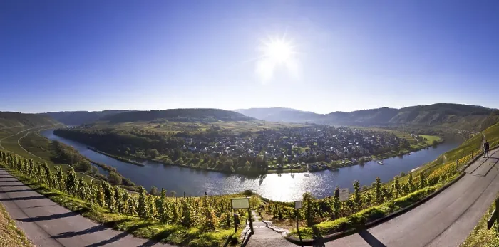 Gerahmter Druck : Blick auf die Weinberge bei Puenderich. Gerahmter Druck : Blick auf die Weinberge bei Puenderich.