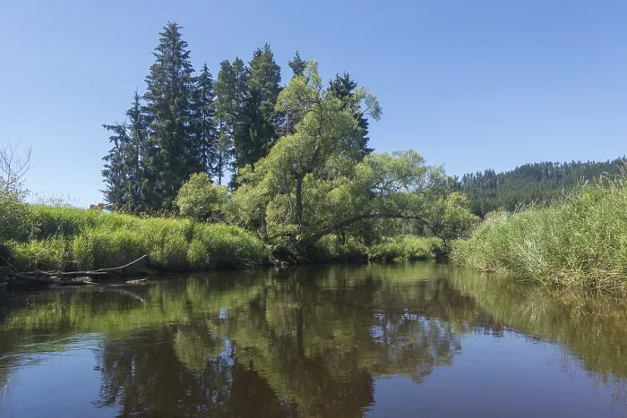 Gerahmter Druck : Blick auf die Vltava aus einem Kanu. Gerahmter Druck : Blick auf die Vltava aus einem Kanu.