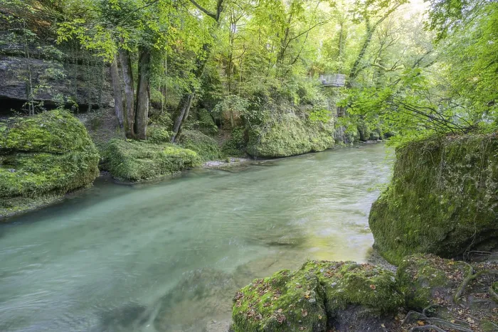 Gerahmter Druck : Blickpunkt in der Erlaufschlucht