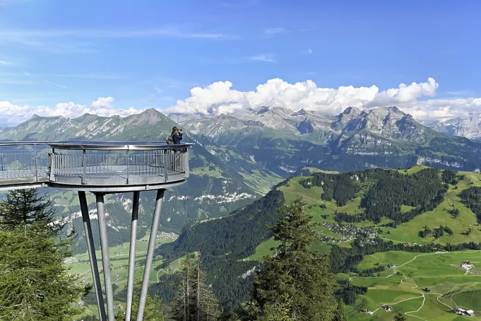 Gerahmter Druck : Blickpunkt mit Alpenblick Gerahmter Druck : Blickpunkt mit Alpenblick