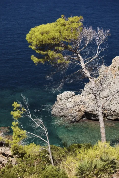 Gerahmter Druck : Ansichten der Bucht von Pollenca, Mallorca. Gerahmter Druck : Ansichten der Bucht von Pollenca, Mallorca.