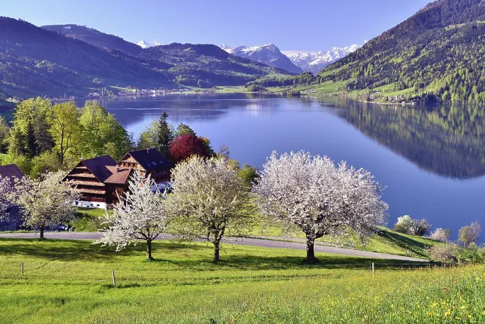Gerahmter Druck : Ansichten von Morgarten auf Aegerisee Gerahmter Druck : Ansichten von Morgarten auf Aegerisee