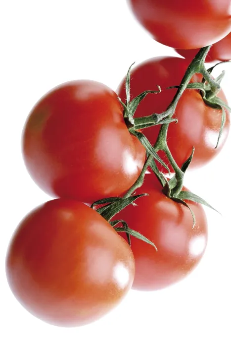 Gerahmter Druck : Trauben Tomaten, Traube. Gerahmter Druck : Trauben Tomaten, Traube.