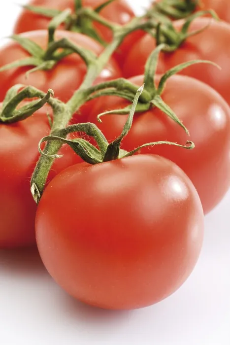 Gerahmter Druck : Trauben Tomaten, Traube. Gerahmter Druck : Trauben Tomaten, Traube.