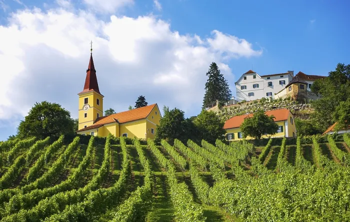 Gerahmter Druck : Weinberg mit Schloss Kapfenstein Gerahmter Druck : Weinberg mit Schloss Kapfenstein